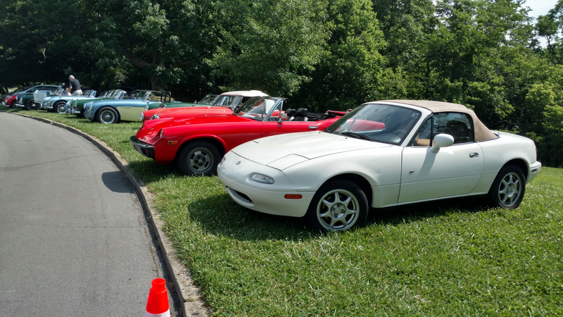 How to expertly troll the Austin Healey club